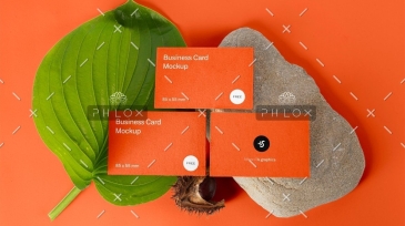 demo-attachment-33-5q71up9s